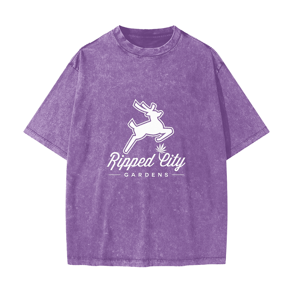 Thumbnail: Ripped City | Heavyweight Snow Washed T-Shirt