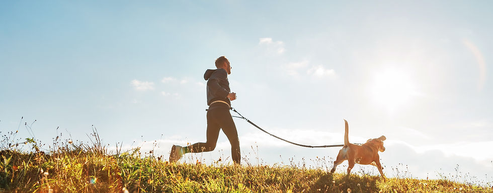 犬と一緒にランニング