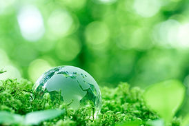 環境への意識と社会の変化