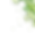 新緑