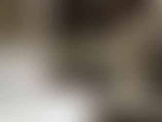 キャンペーン情報