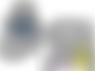 行政書士はどこまで相続業務を出来るのか?