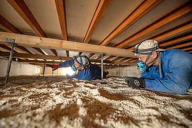 白アリ・羽アリの調査・診断