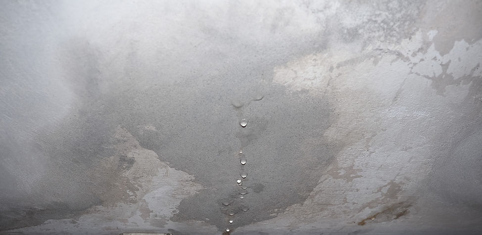 雨漏り