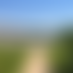 Six Weeks in South Africa