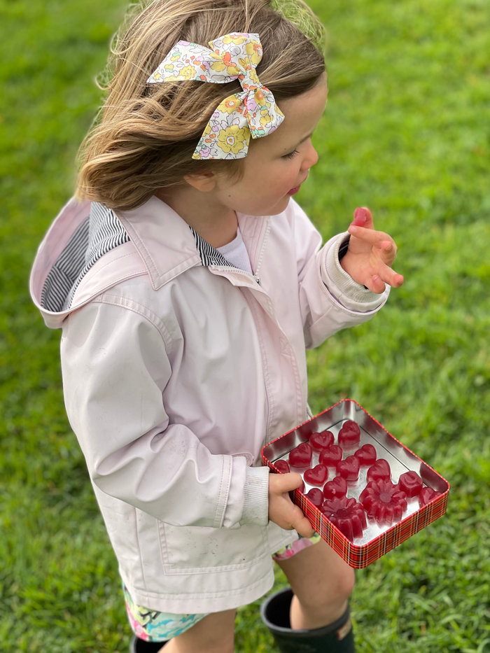 Healthy Family Food Ideas Back to School