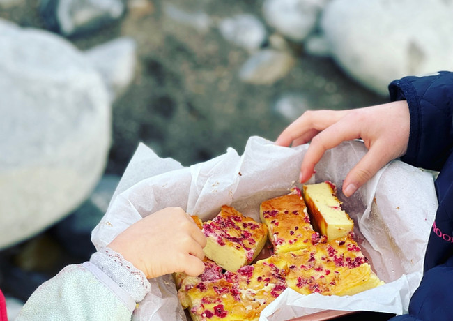Raspberry Custard Slice