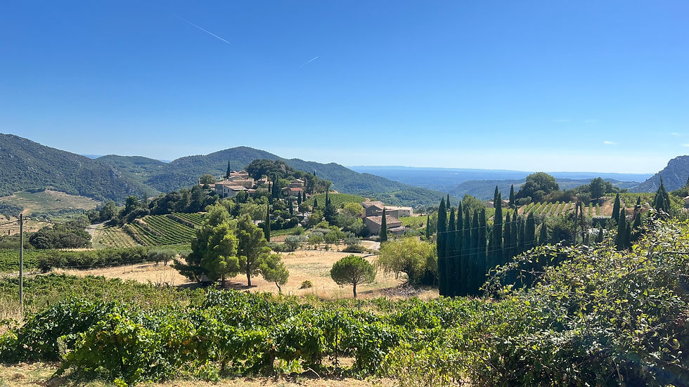 Chiron Hotel Consulting Provence Ellie Boulstridge