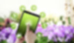 Fotolia_260062054_L_bearbeitet.jpg