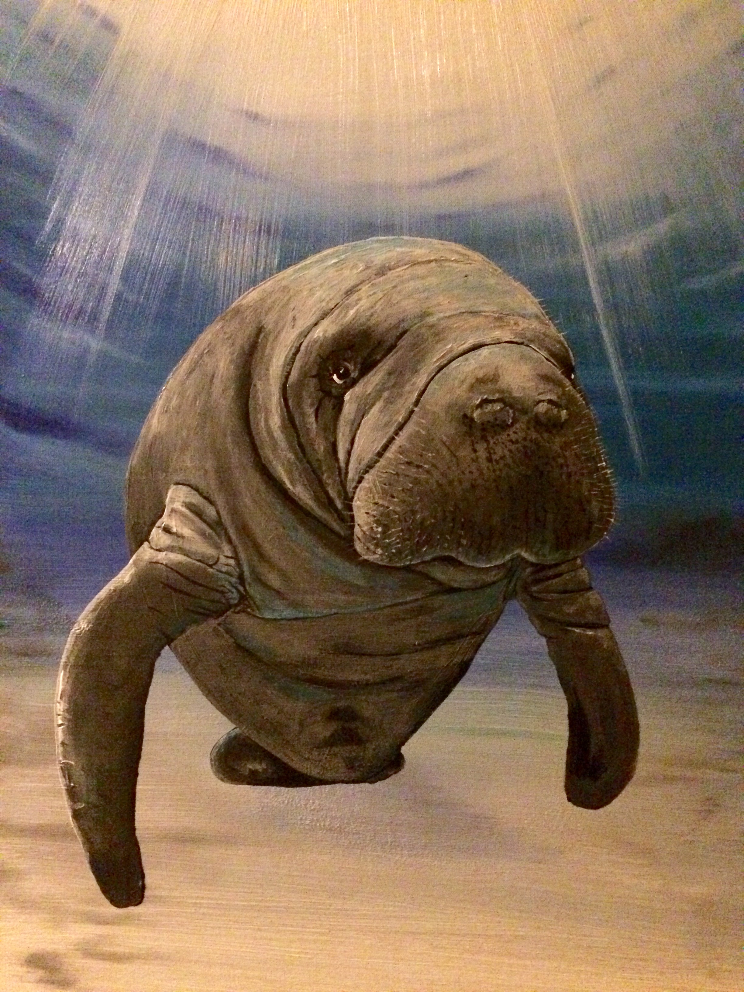 Manatee View