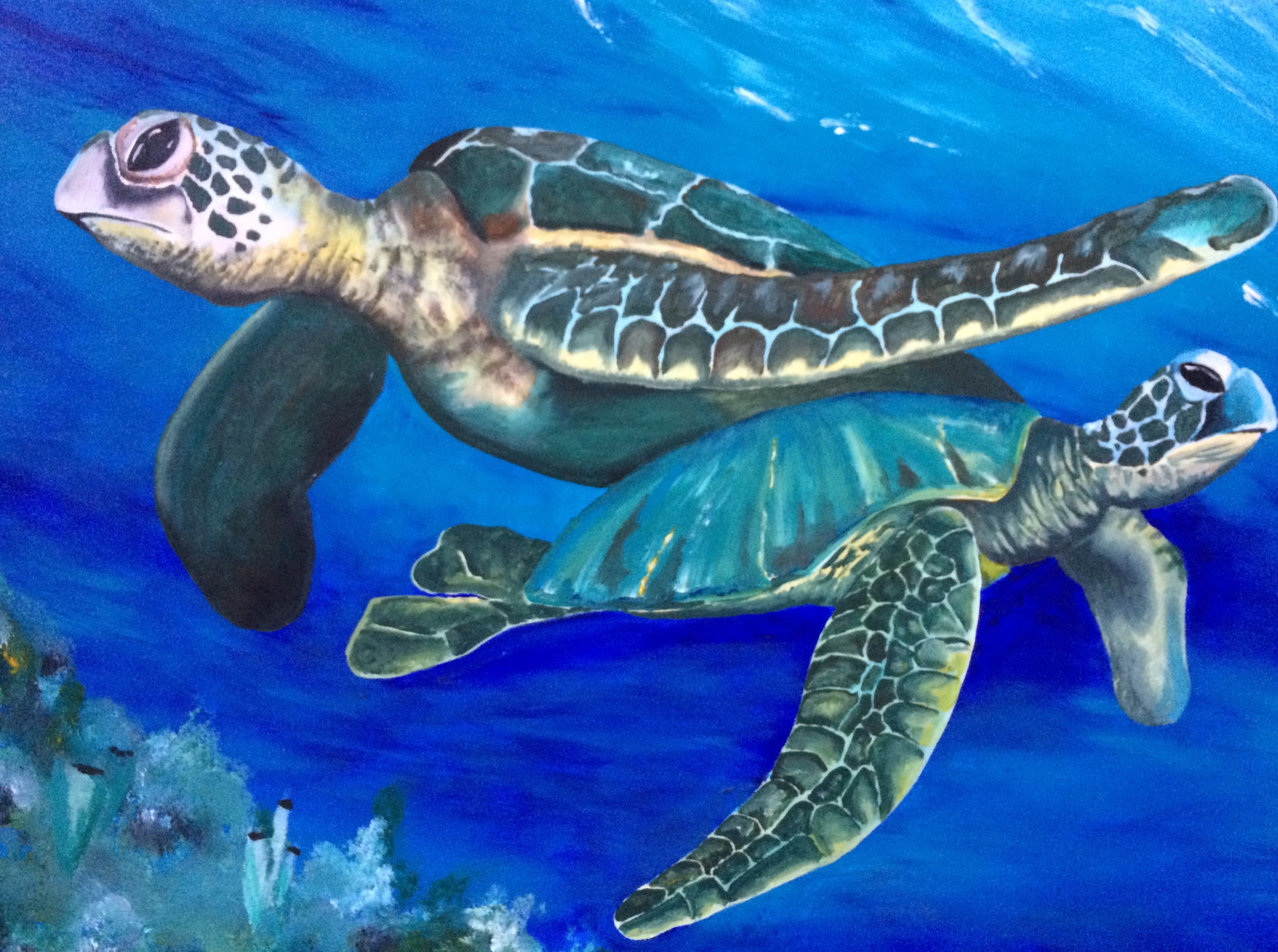 Sea Turtle Blue