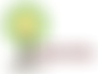 Rediscover Your Spiritual Roots Survey