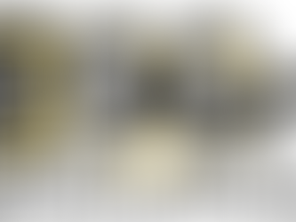 LBF Sörmland firar 90 år med seminarium och tårta