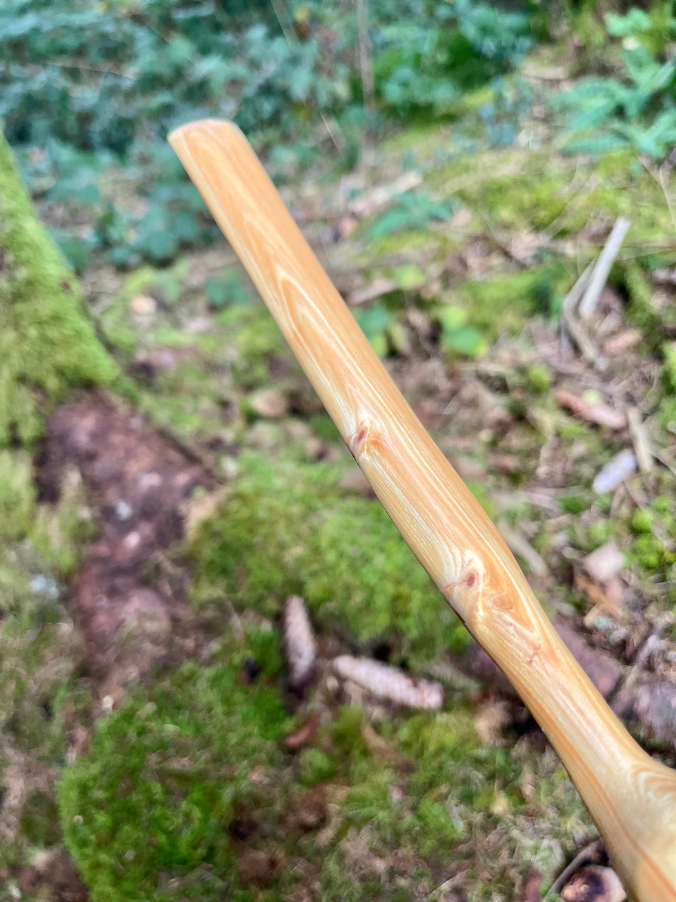 Miniature : Spatule | Épicéa