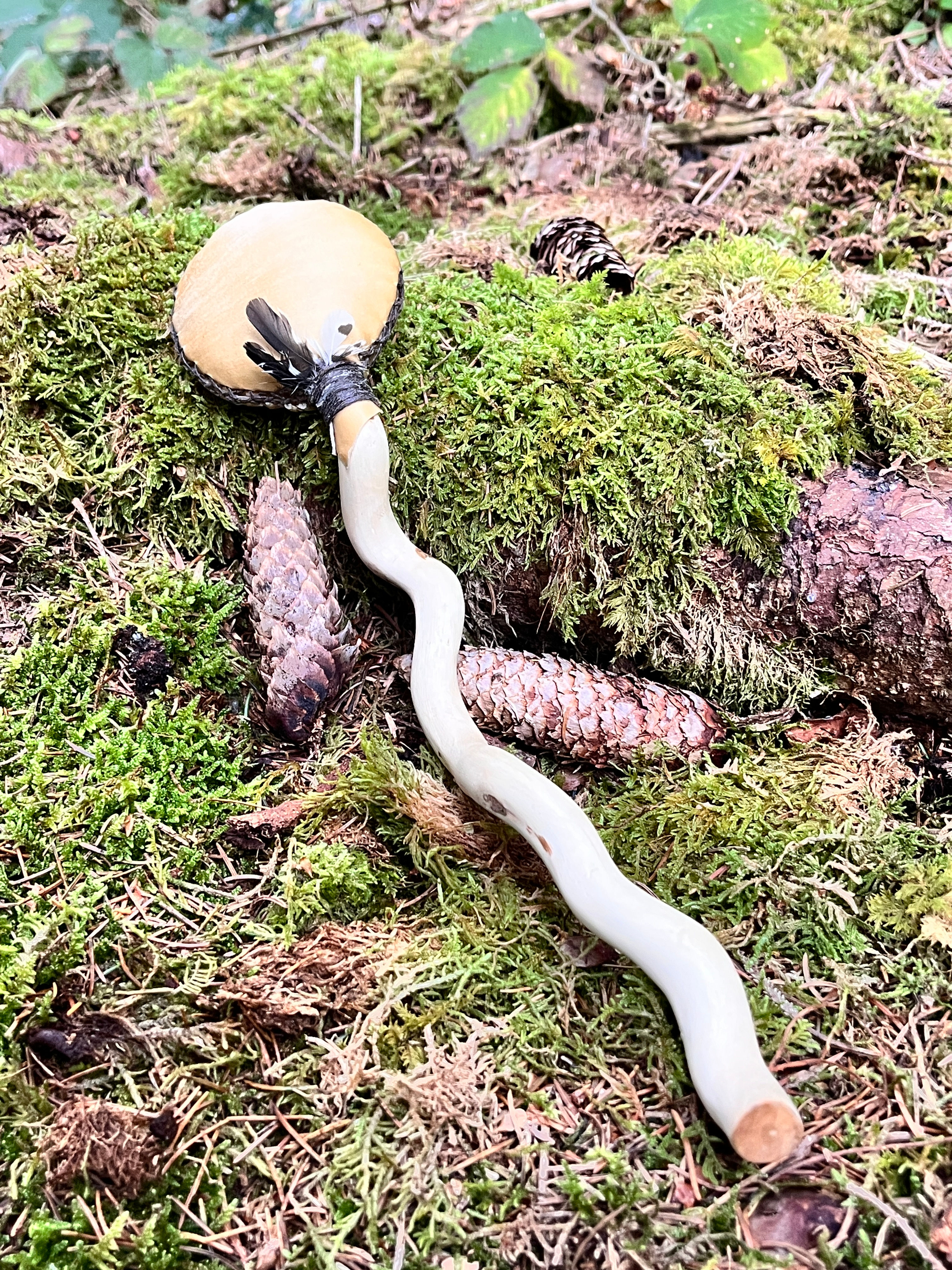 Hochet Médecine | Daim-Oeil de Tigre | Medicine Rattle