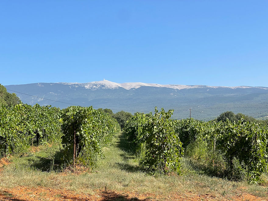 Mont Ventoux in Provence, South of France