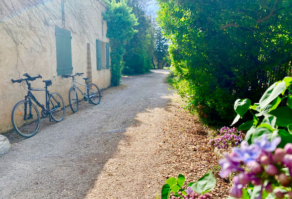 Vélos au Mas Saint-Gens, location pour groupes de cyclistes en Provence