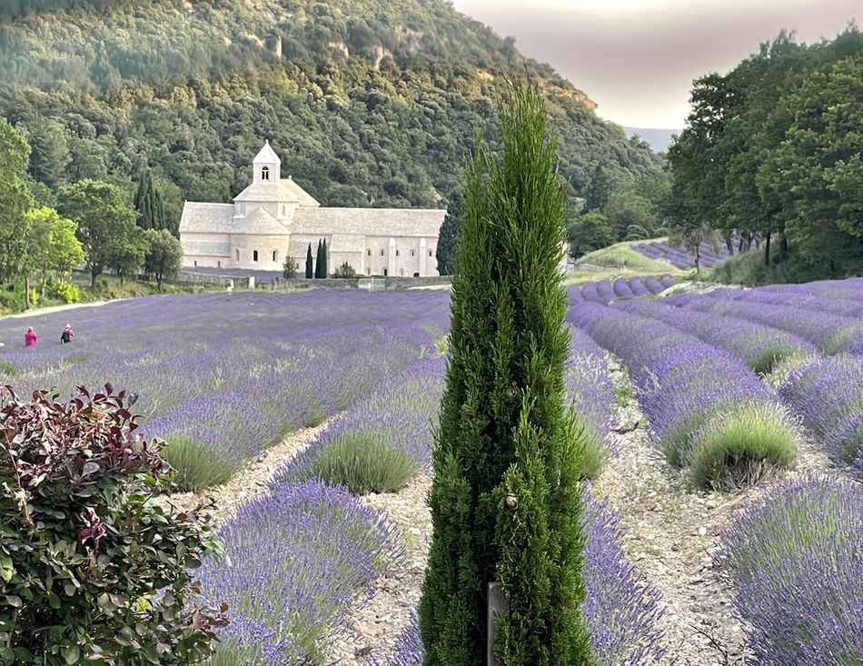 Senanque Abbey, Mas Saint-Gens holiday rental Provence gîte Carpentras Vaucluse