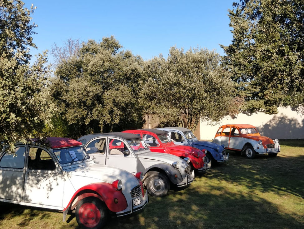 Activité en Provence au Mas Saint-Gens