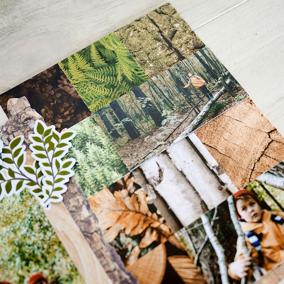 Thumbnail: Deeper in the Woods Textured Paper Pack (12/pk)