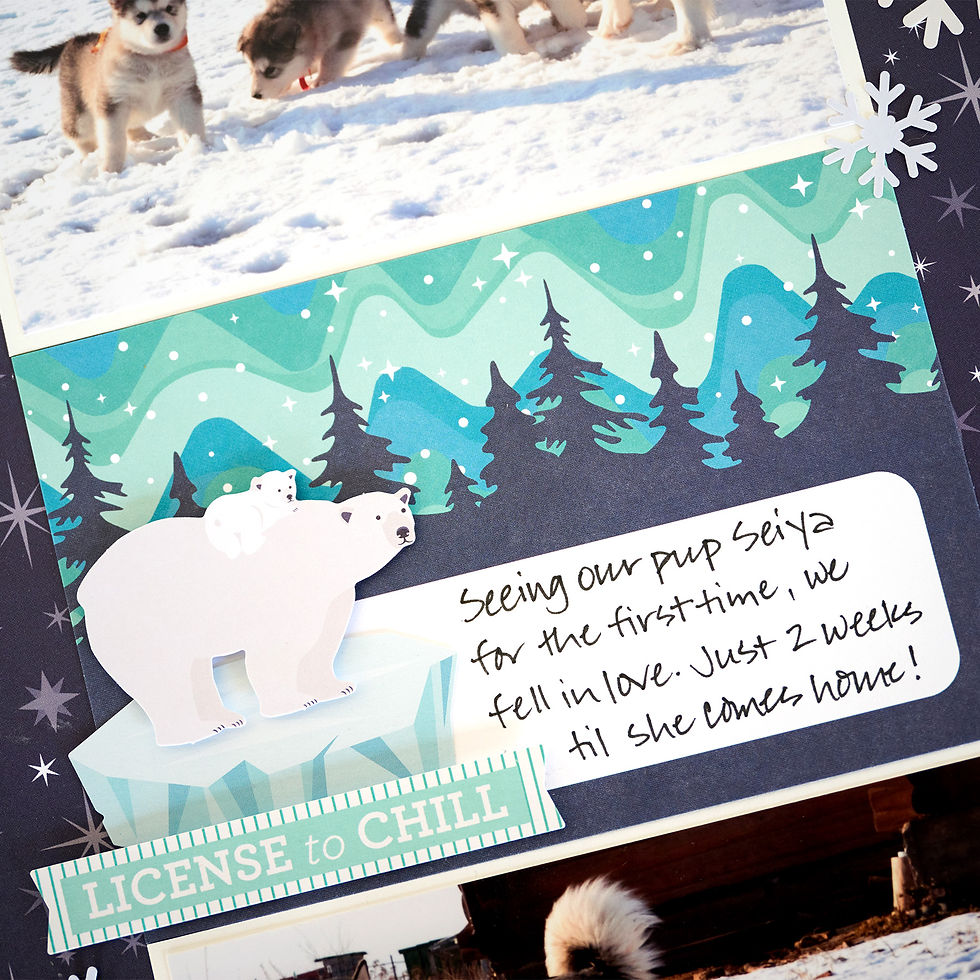 Thumbnail: Polar Lights Variety Mat Pack