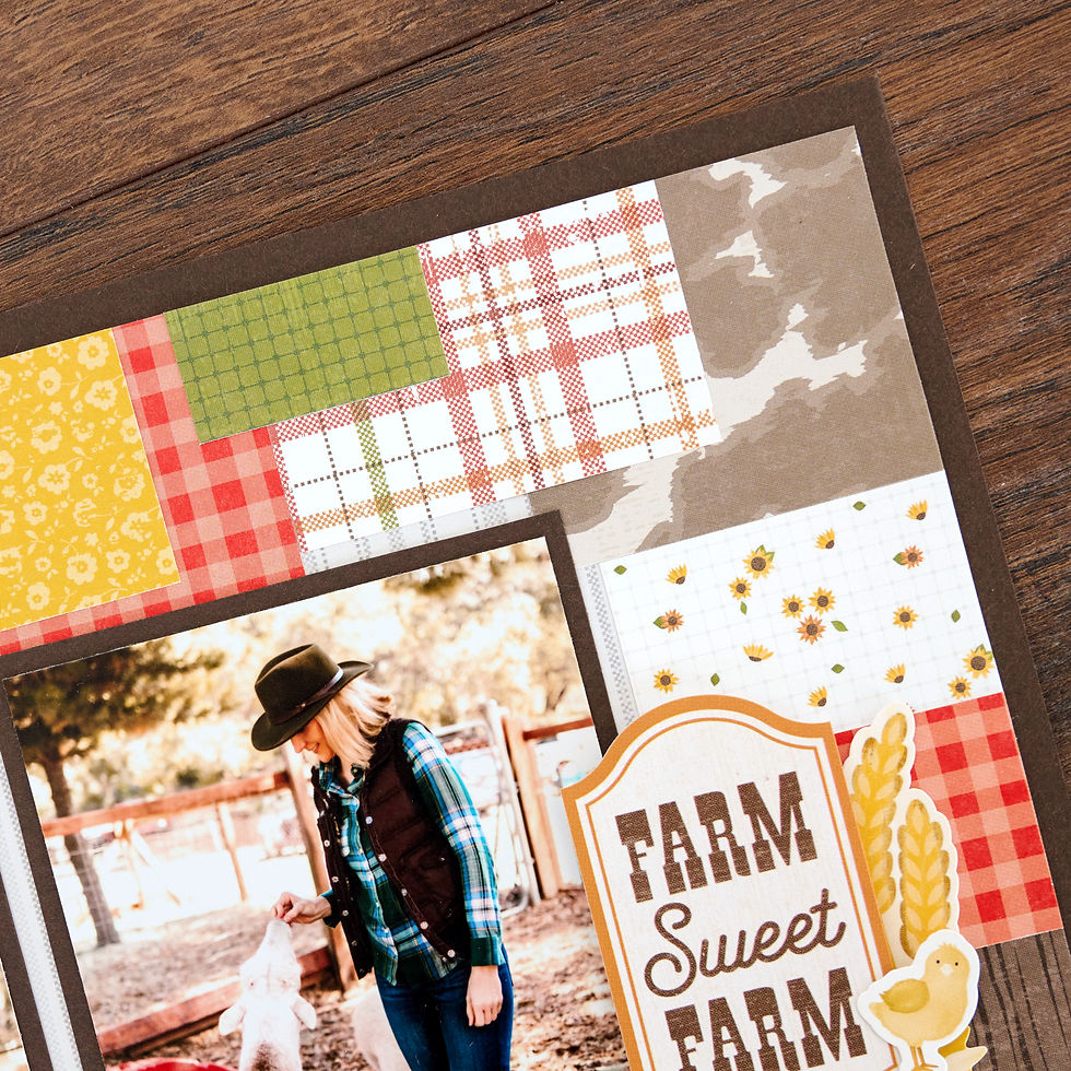 Thumbnail: On the Farm Paper Pack (12/pk)