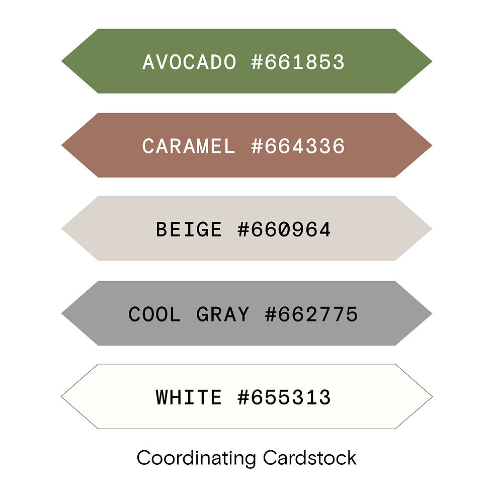 Thumbnail: Perfect Match Paper Pack  (12/pk)