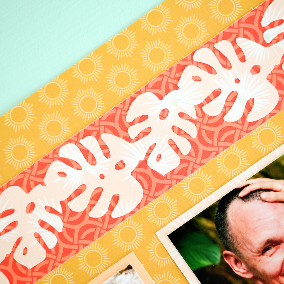 Thumbnail: Monstera Leaves Border Punch
