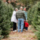 409820782_746818937480553_4743710967941226465_n (1) (1).jpg