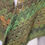 Thumbnail: Variegated Green Shawl