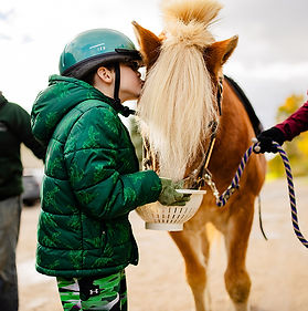 unmounted-horsemanship-menu.jpg