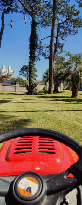 mantenimiento de jardín en punta del este