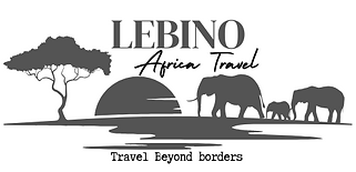 Sacola de compras (6).png