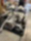 image5.jpeg