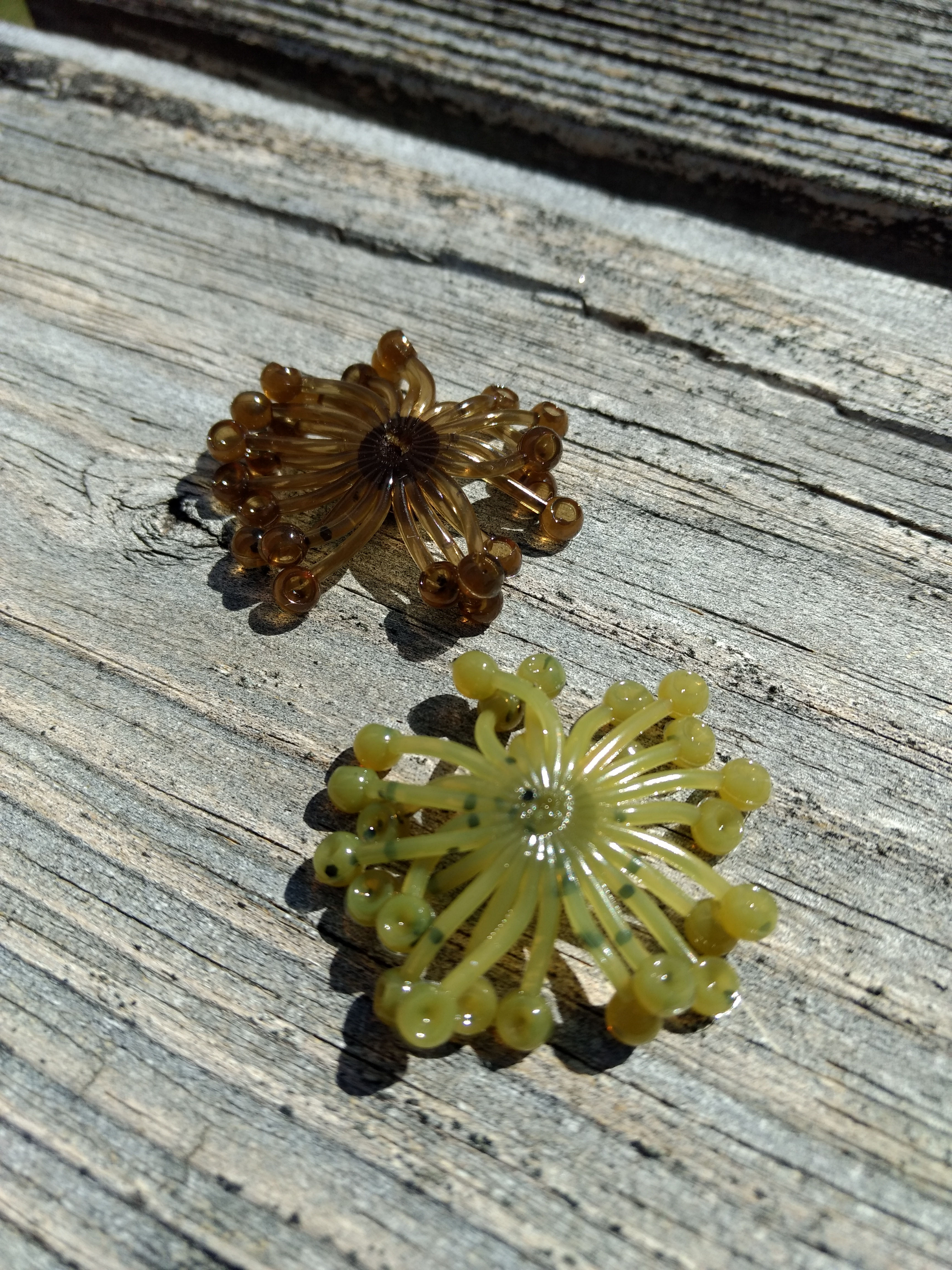 Bum Covers ---- 5 pack