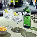 gordons-gin-and-tonic.jpeg