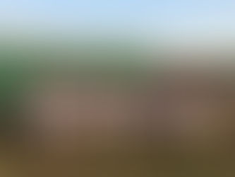 葛飾シニアルーキーズカップ　全体第3位！