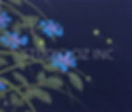 蛍舞う