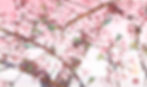 春暁
