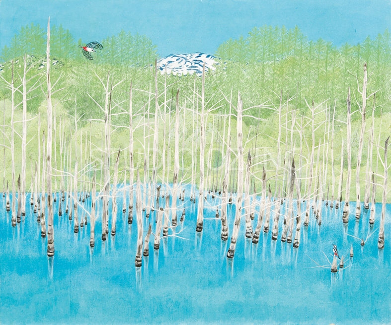 青い池_北海道