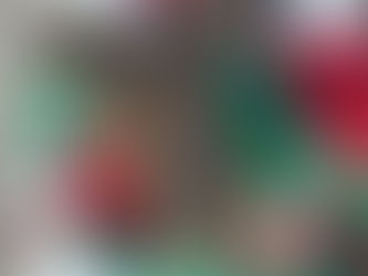 This sweet puppy was adopted, then returned to the shelter due to the owner’s housing issues.