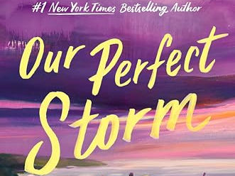 Our Perfect Storm by Carley Fortune