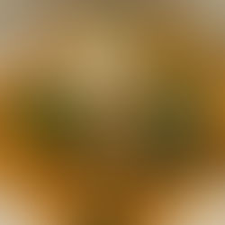 Your family will love this one-skillet Italian sausage rigatoni.