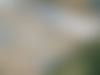 More big news! Buckle becomes the latest national retailer to sign on with Washington Commons.