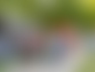 Delicious food, great shopping: Everything you need to know about this year’s Moo-La Fest.