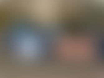 In the market for a new or used tractor? Vandermeer Diesel is now an authorized dealer.