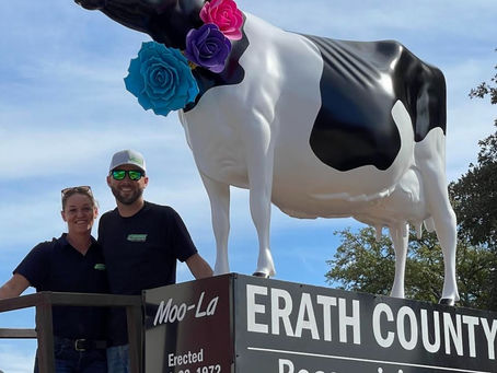 Ooh-la-la! Moo-La makes big return to the Erath County courthouse square, and man, is she pretty.