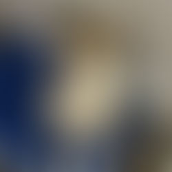 Abernathy is a sweet pup who loves attention and being right in the middle of the action.