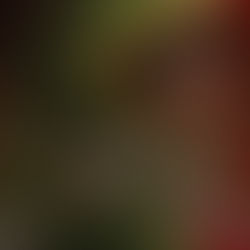 Little Shop of Horrors coming to Tarleton State University; student discounts available.