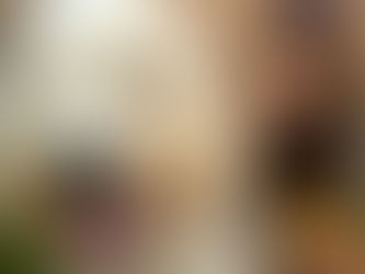 New therapy dog is ready to help SISD students cope with stress and anxiety.